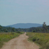 Construcción de una ruta de Puerto Vallemí a la ciudad de Co